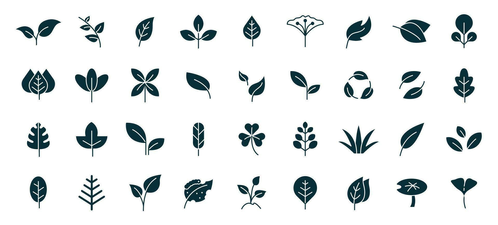 blad icoon set. bladeren van bomen en planten, bladeren icoon verzameling, ontwerp voor natuurlijk, ecologisch, bio, en veganistisch etiketten. vector illustratie