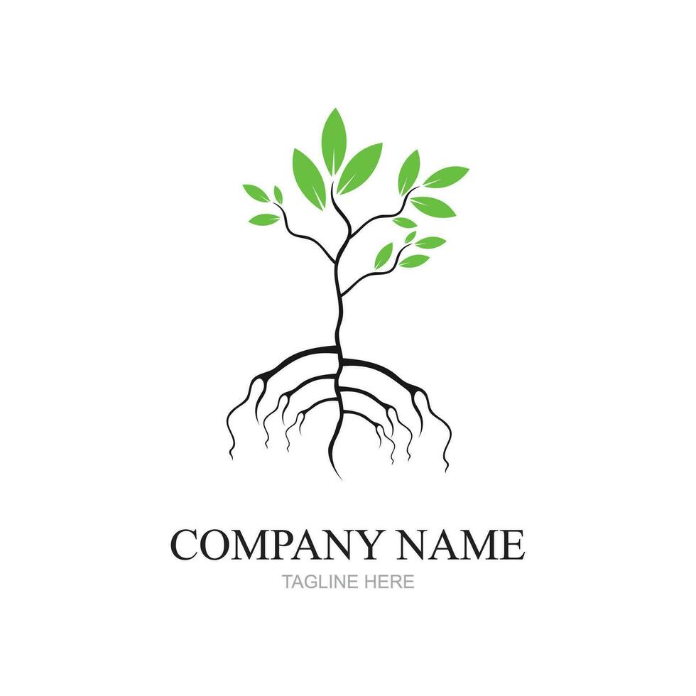 mangrove bomen en mangrove Woud ecologie logo ontwerp vector