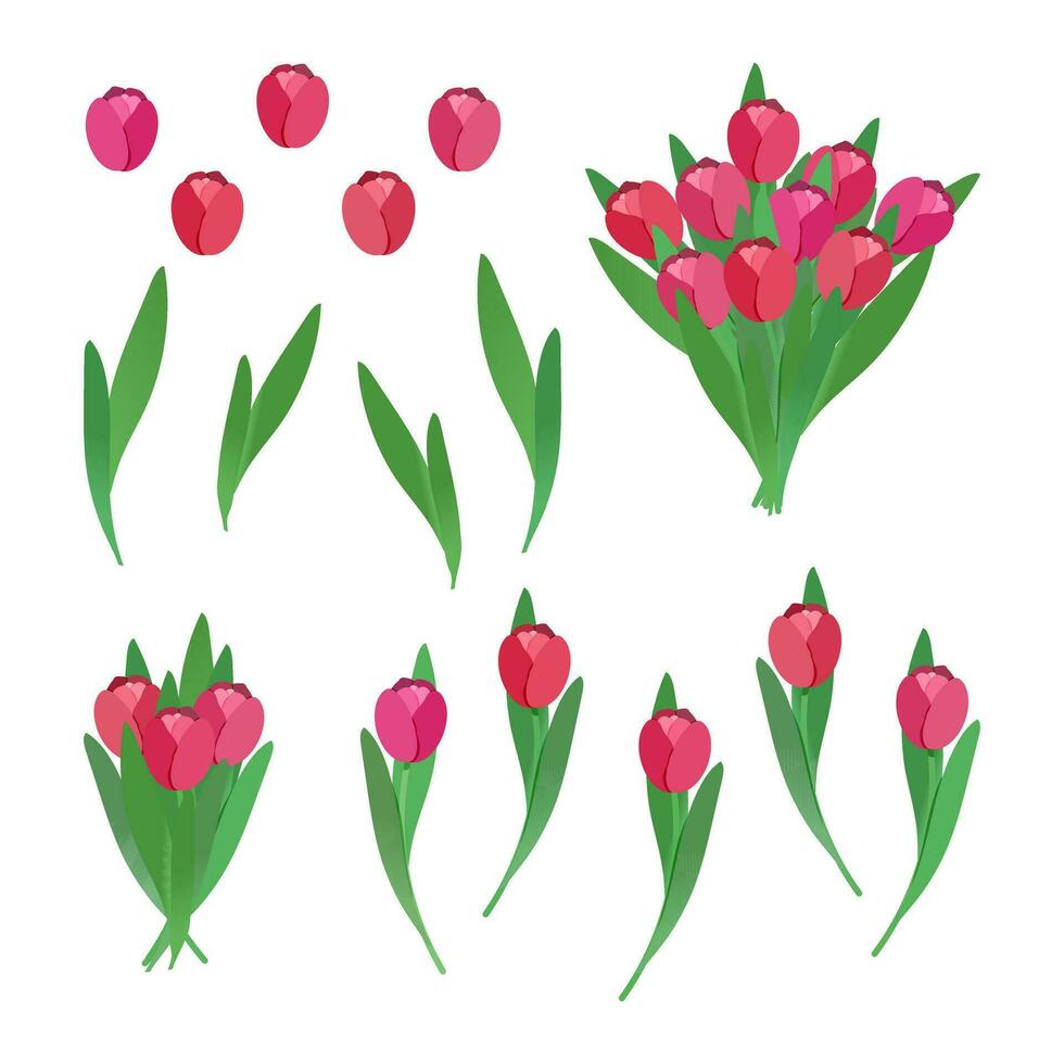 roze tulpen reeks van bloemen elementen vector illustratie