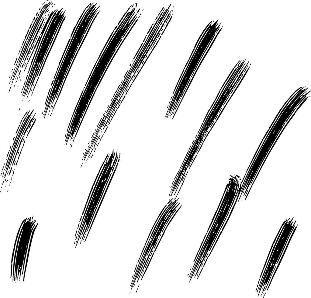 zwart grungy borstel beroerte Aan wit achtergrond vector
