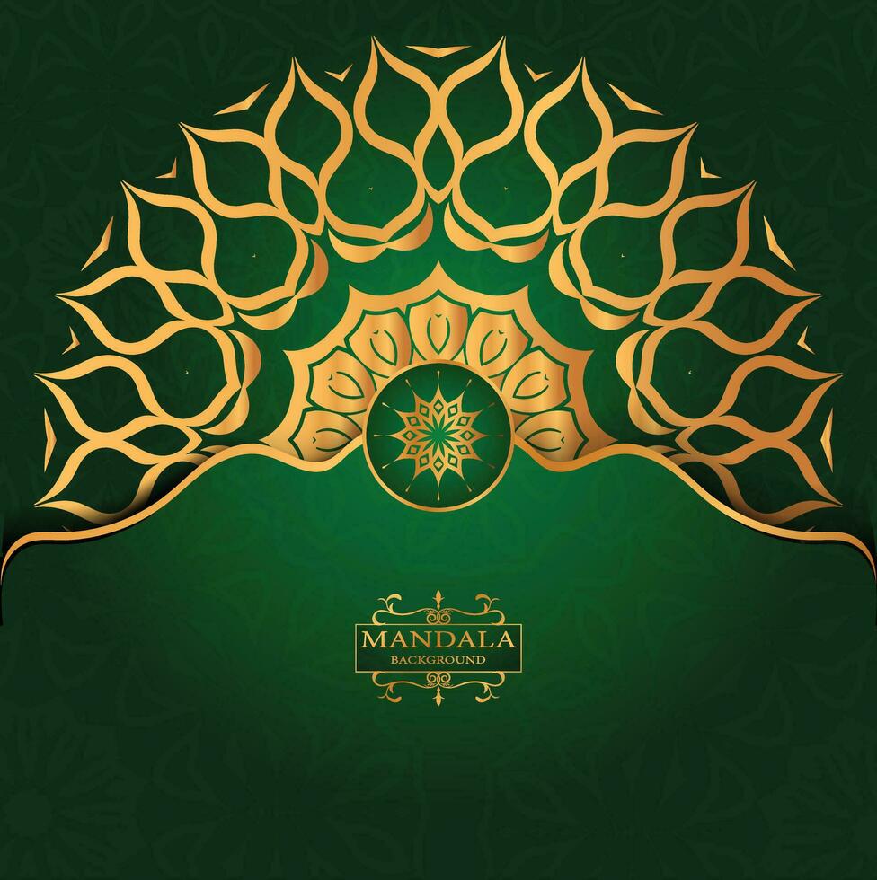 luxe mandala decoratief etnisch element achtergrond vector