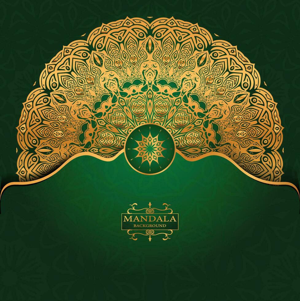 luxe mandala decoratief etnisch element achtergrond vector