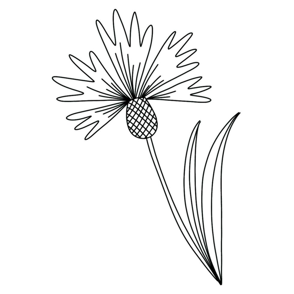 single bloem element vergeet me niet Wildflower. botanisch decoratief voorjaar element. hand- getrokken vlak illustraties, geïsoleerd Aan wit achtergrond vector