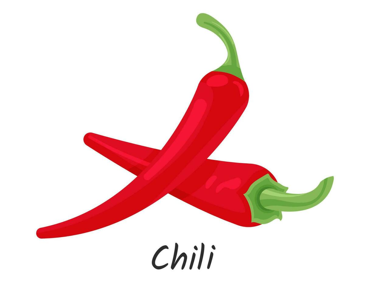 Chili peper vector illustratie geïsoleerd Aan wit achtergrond. heet, pittig rood peper tekenfilm stijl voedsel icoon