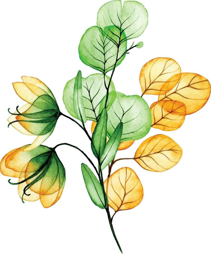 waterverf tekening. boeket, herfst samenstelling van transparant bloemen en eucalyptus bladeren. geel en groen bladeren vector