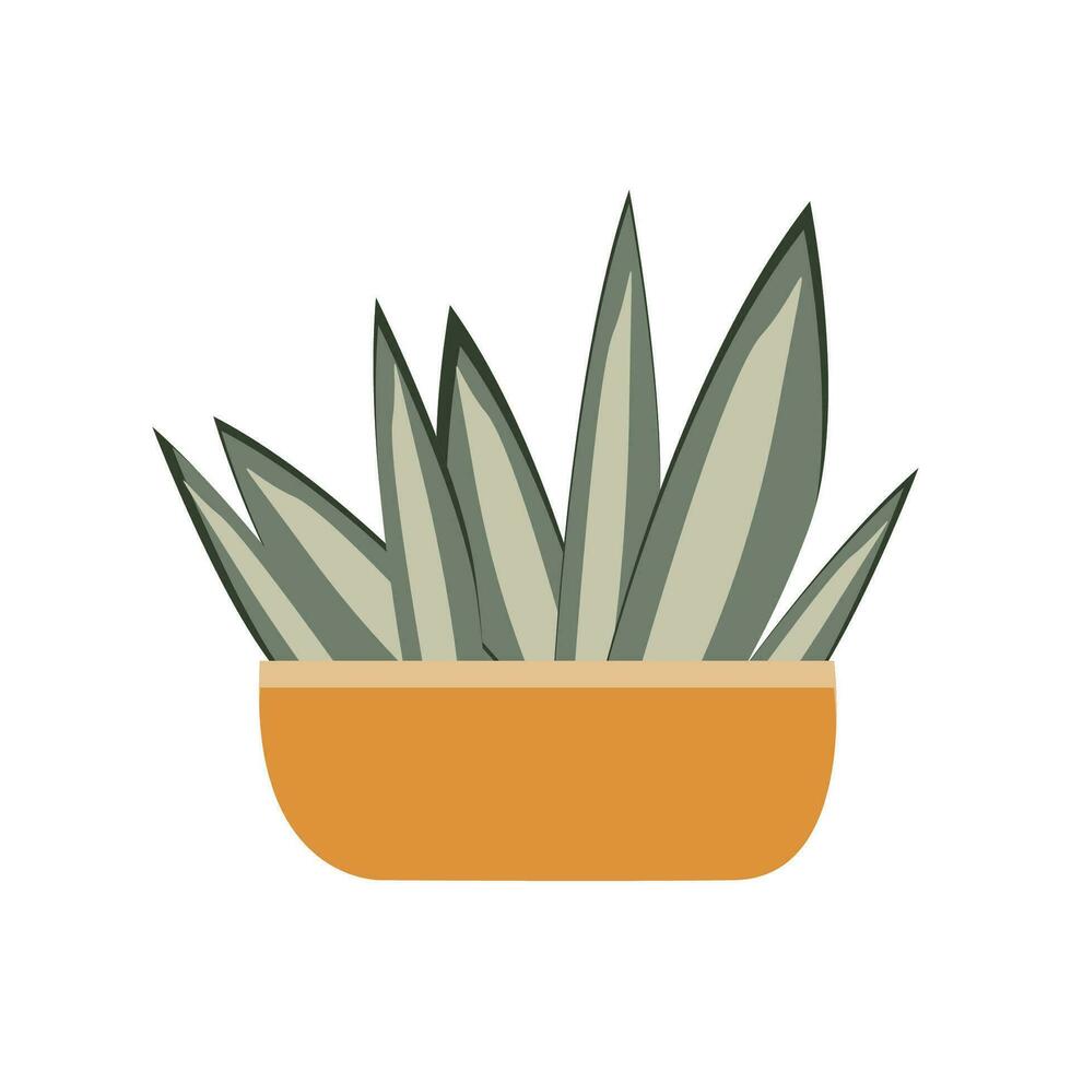 vector vlak illustratie. sier- huis planten in potten