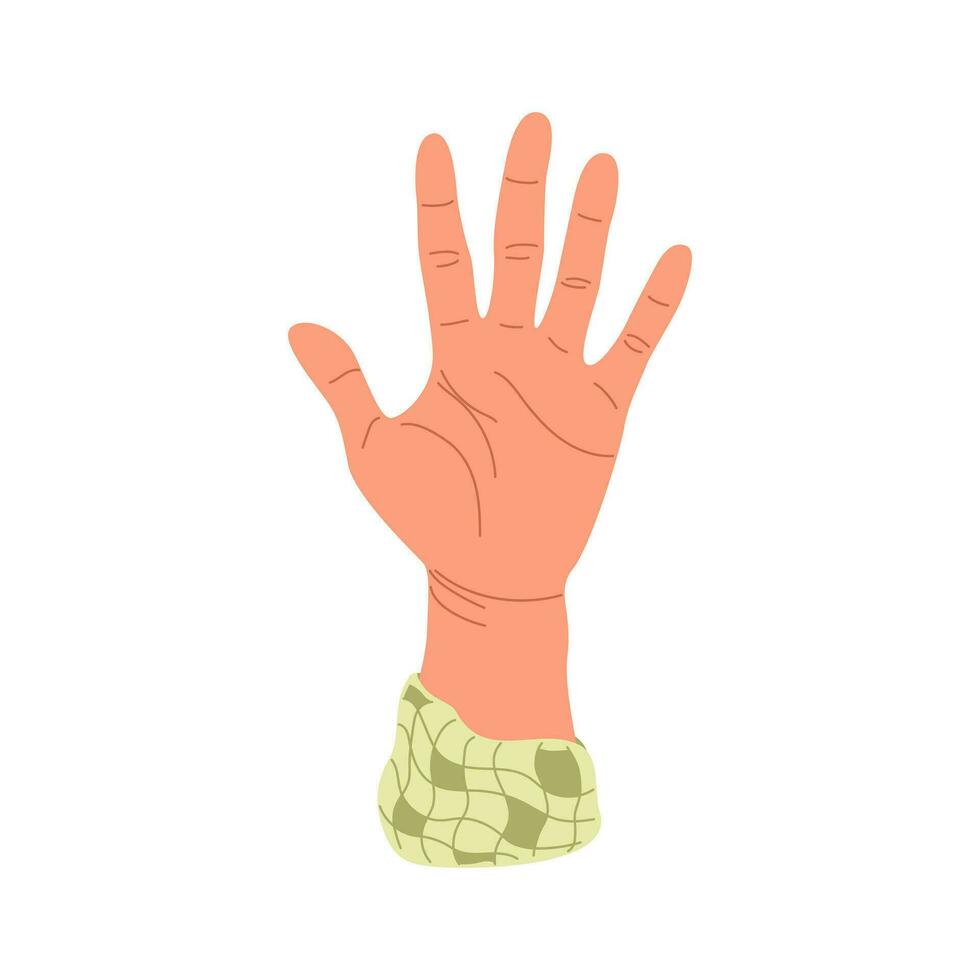 hand- verheven omhoog. verspreiding vingers, binnen van palm. menselijk armen met accessoires. gekleurde vlak vector illustratie geïsoleerd Aan wit achtergrond