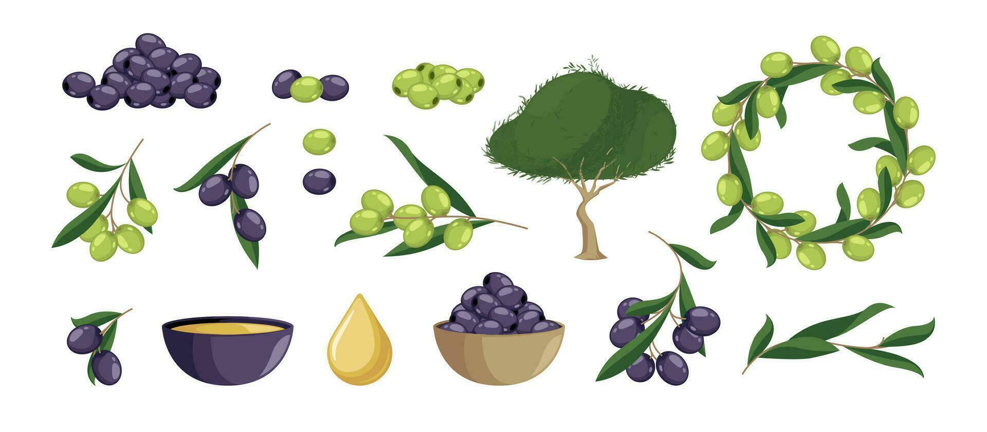 tekenfilm olijf- set. biologisch natuurlijk groen en zwart producten, middellandse Zee fruit Afdeling bladeren boom decoraties. vector geïsoleerd verzameling