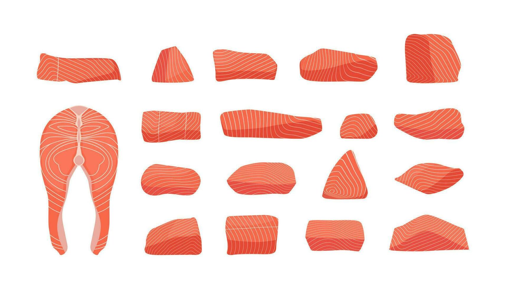 Zalm verzameling. vers rauw rood vis plakjes tekenfilm vlak stijl, gezond atlantic forel steaks staart vin zeevruchten fijnproever maaltijd. vector geïsoleerd verzameling