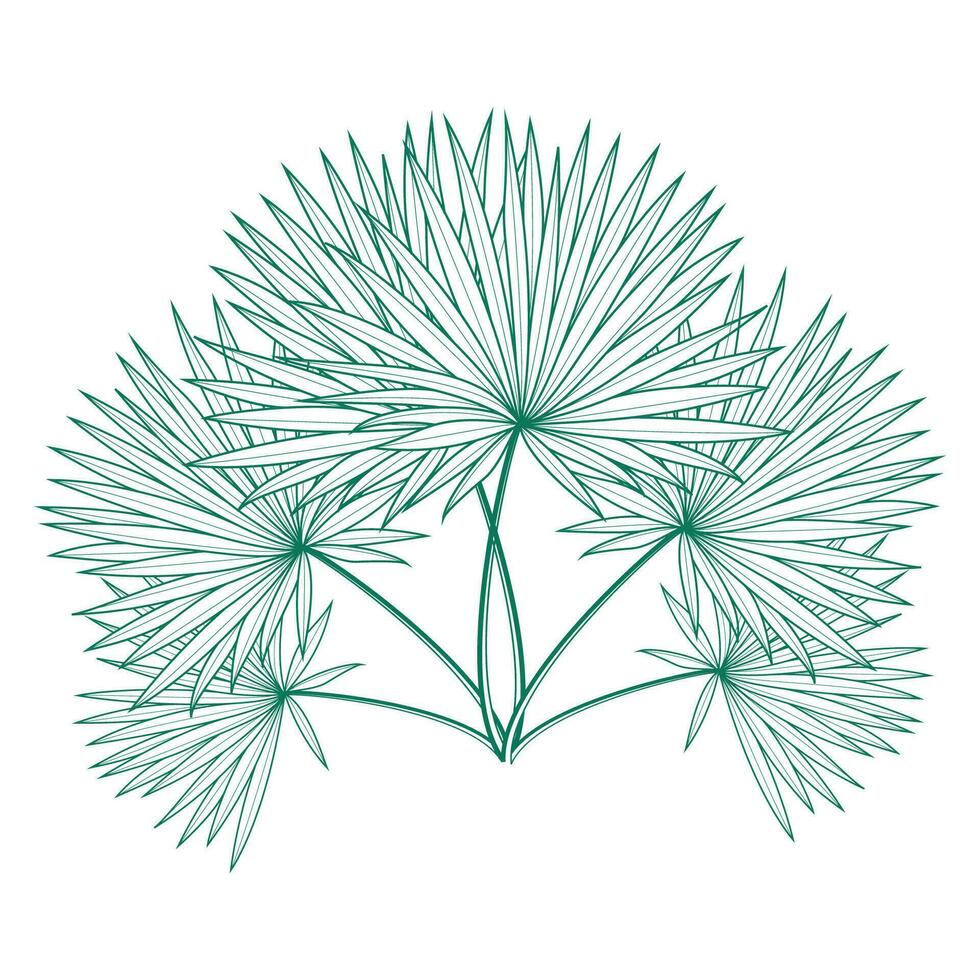 saribus rotundifolius palm blad vector ontwerp sjabloon