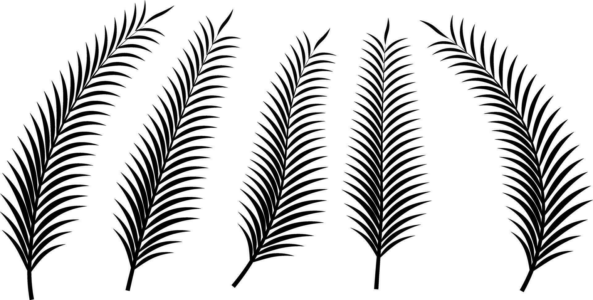 silhouet palm blad icoon reeks vector