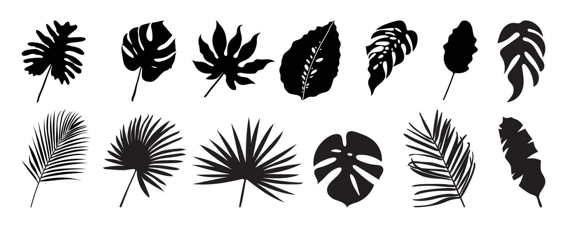 verzameling van silhouet blad elementen. reeks van tropisch planten, blad tak, banaan bladeren, monster, palm, gebladerte. hand- getrokken van botanisch vectoren voor decor, website, grafisch, decoratief.