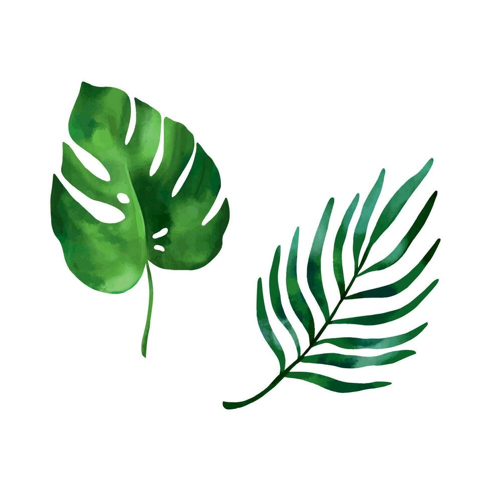 monstera blad en areca palm blad. vector illustratie van tropisch planten in een waterverf stijl. ontwerp element voor zomer spandoeken, flyers, uitnodiging en groet kaarten.