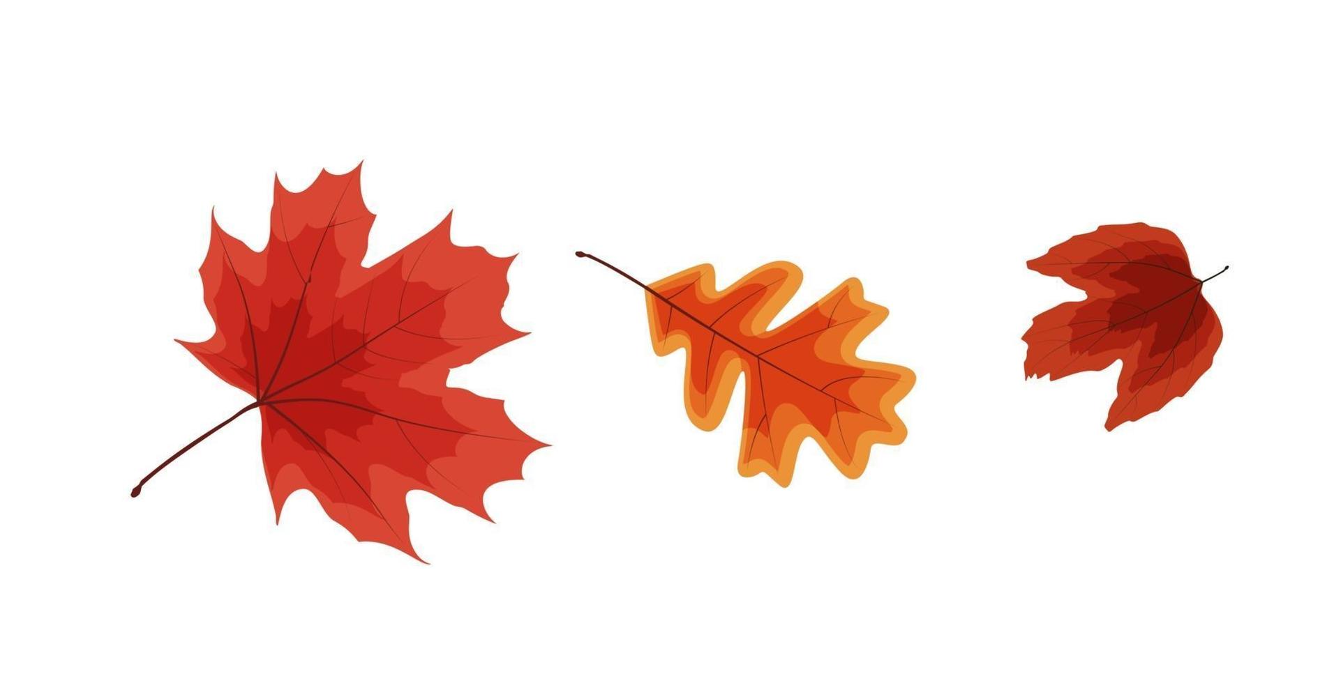 kleurrijke levendige herfst vallende bladeren vector