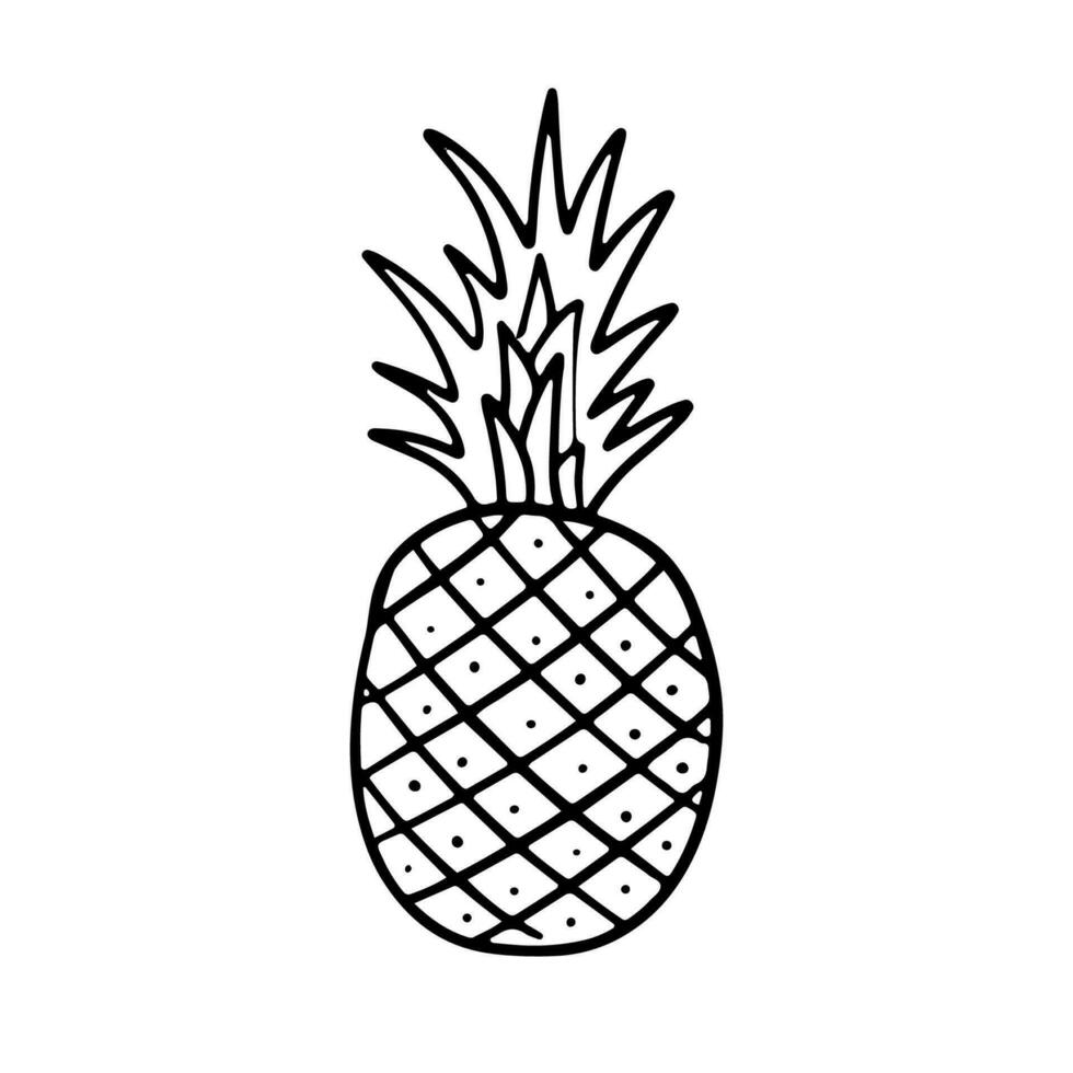 ananas tekening illustratie. schattig fruit vector