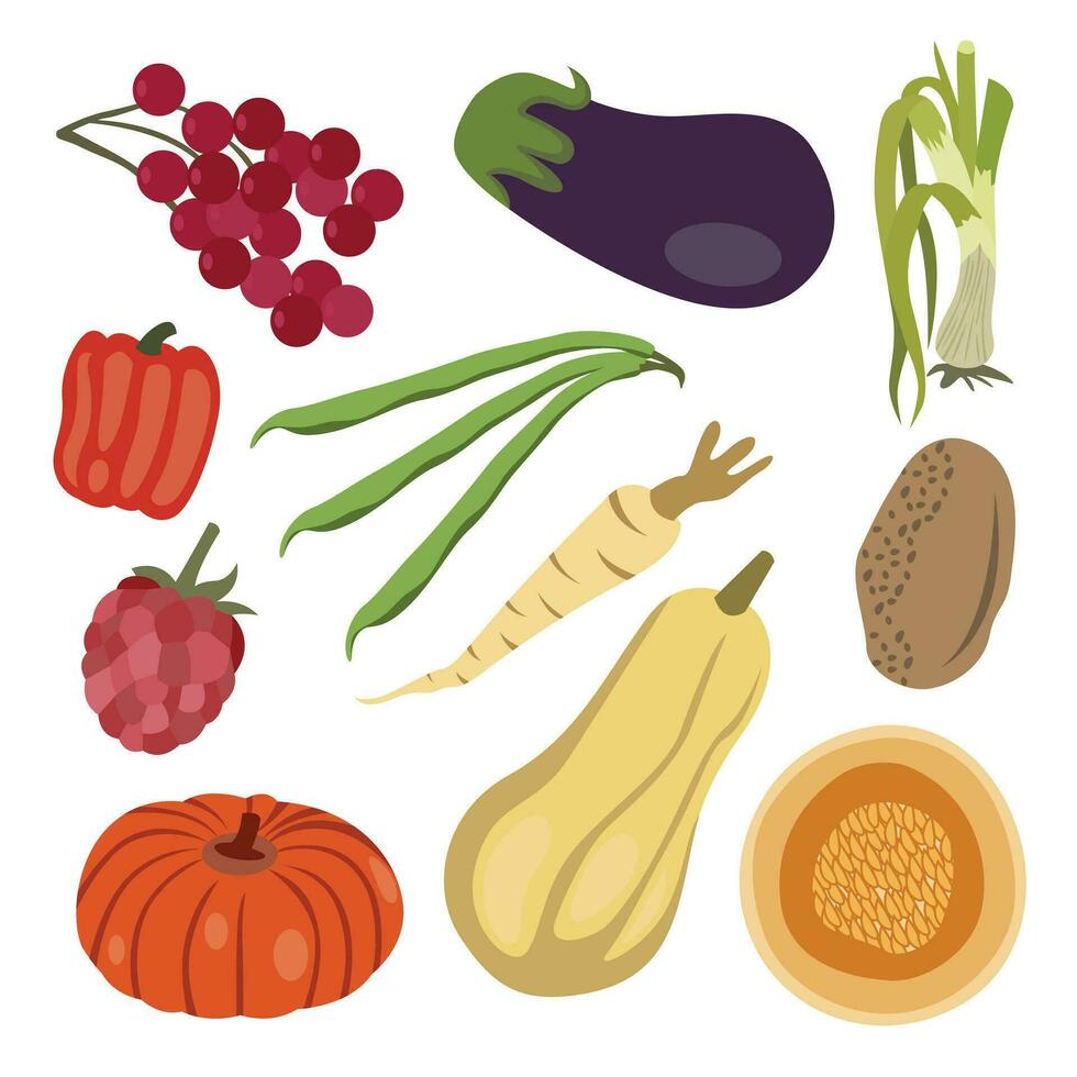 groenten en vruchten. vector illustratie van groenten en vruchten.