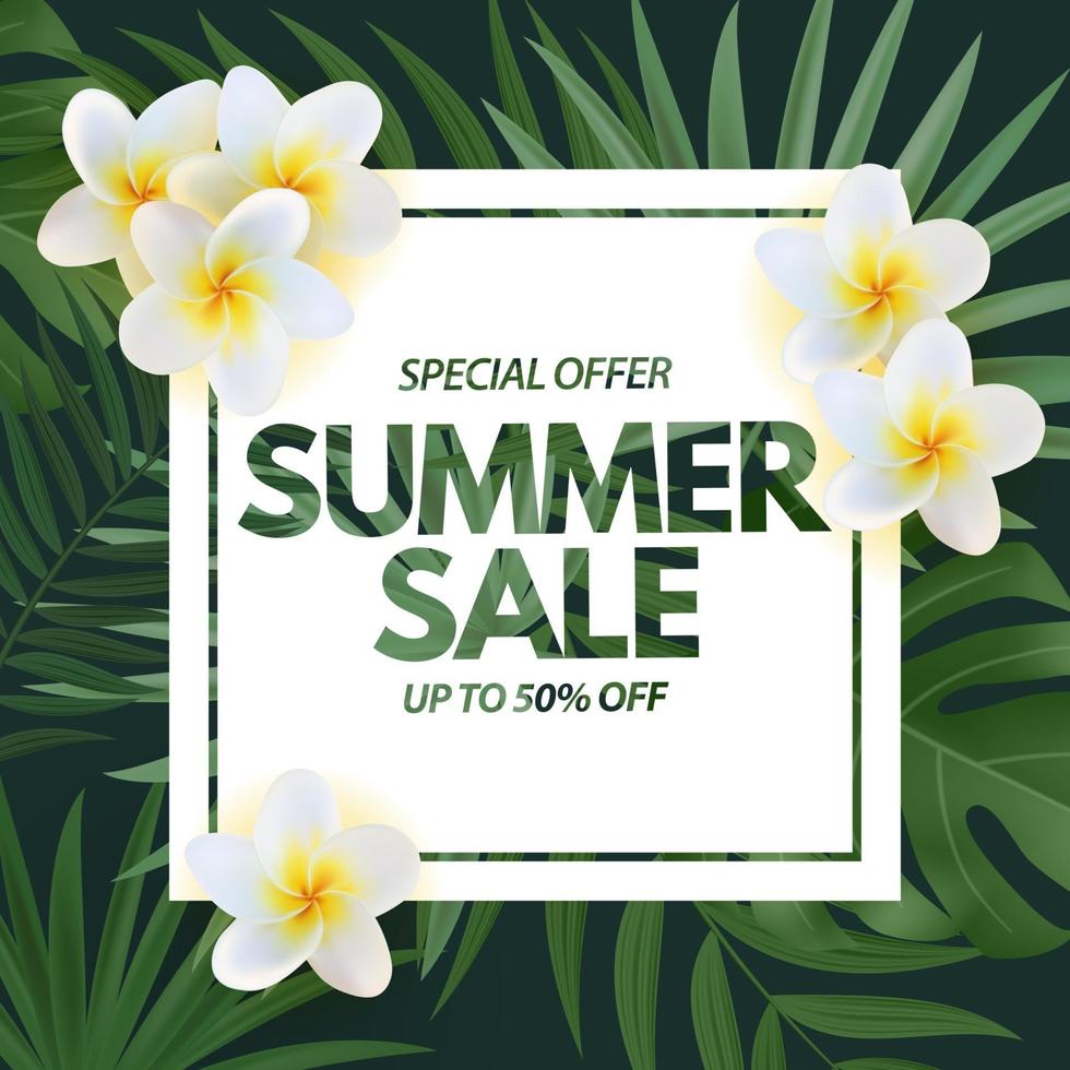 zomer verkoop poster. natuurlijke achtergrond met tropische palmbladeren en exotische plumeriabloem vector