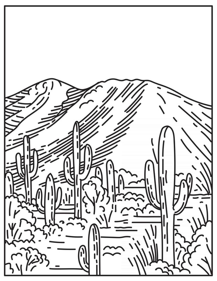 wasson piek in tucson mountain district in saguaro nationaal park gelegen in arizona verenigde staten monolijn of monoline zwart-wit lijntekeningen vector