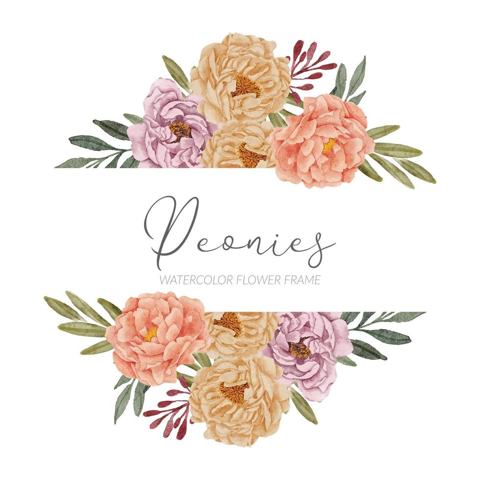 mooie aquarel pioen bloemen framerand vector