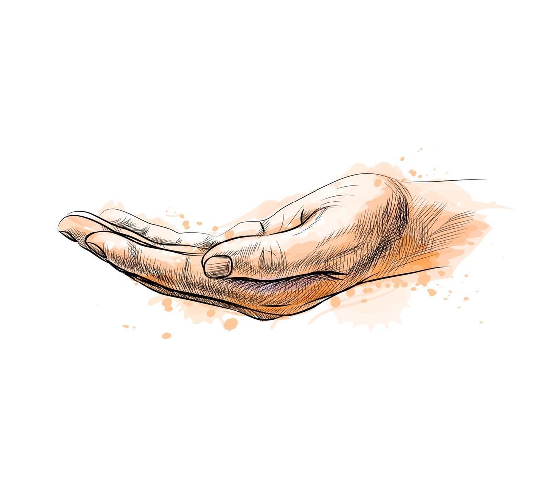 open palm handgebaar van een scheutje aquarel hand getrokken schets vectorillustratie van verf paint vector