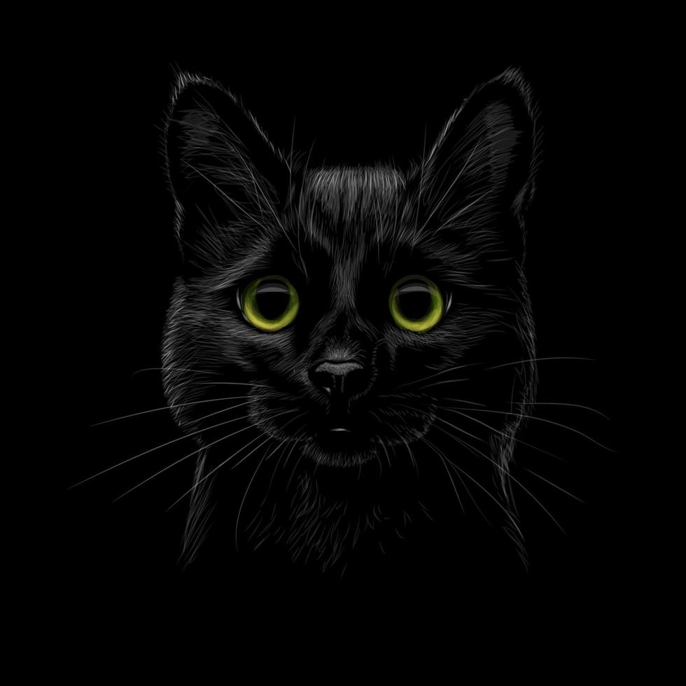 portret van een kat op een zwarte achtergrond vectorillustratie vector