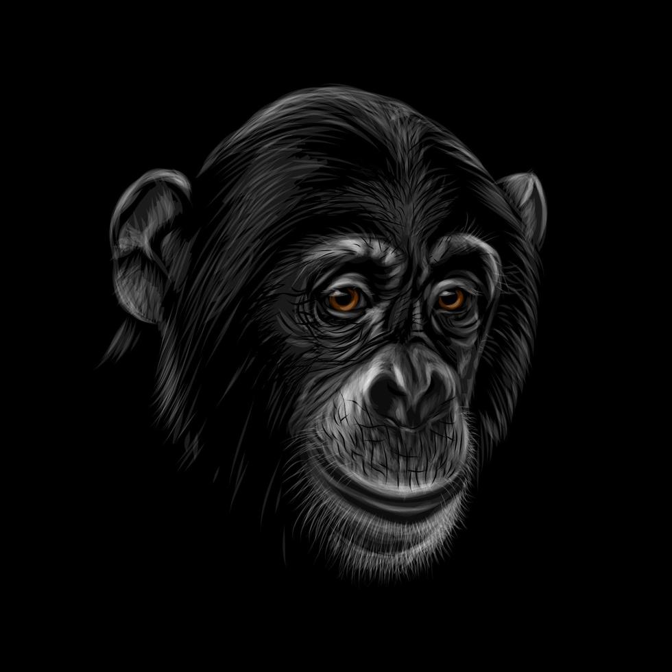 portret van een chimpanseehoofd op een zwarte vectorillustratie als achtergrond vector