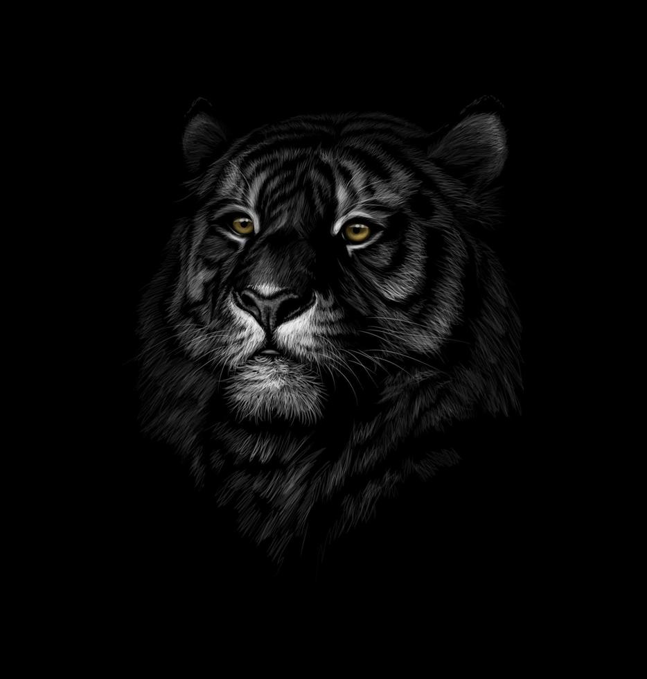portret van een tijgerkop op een zwarte achtergrond vectorillustratie vector
