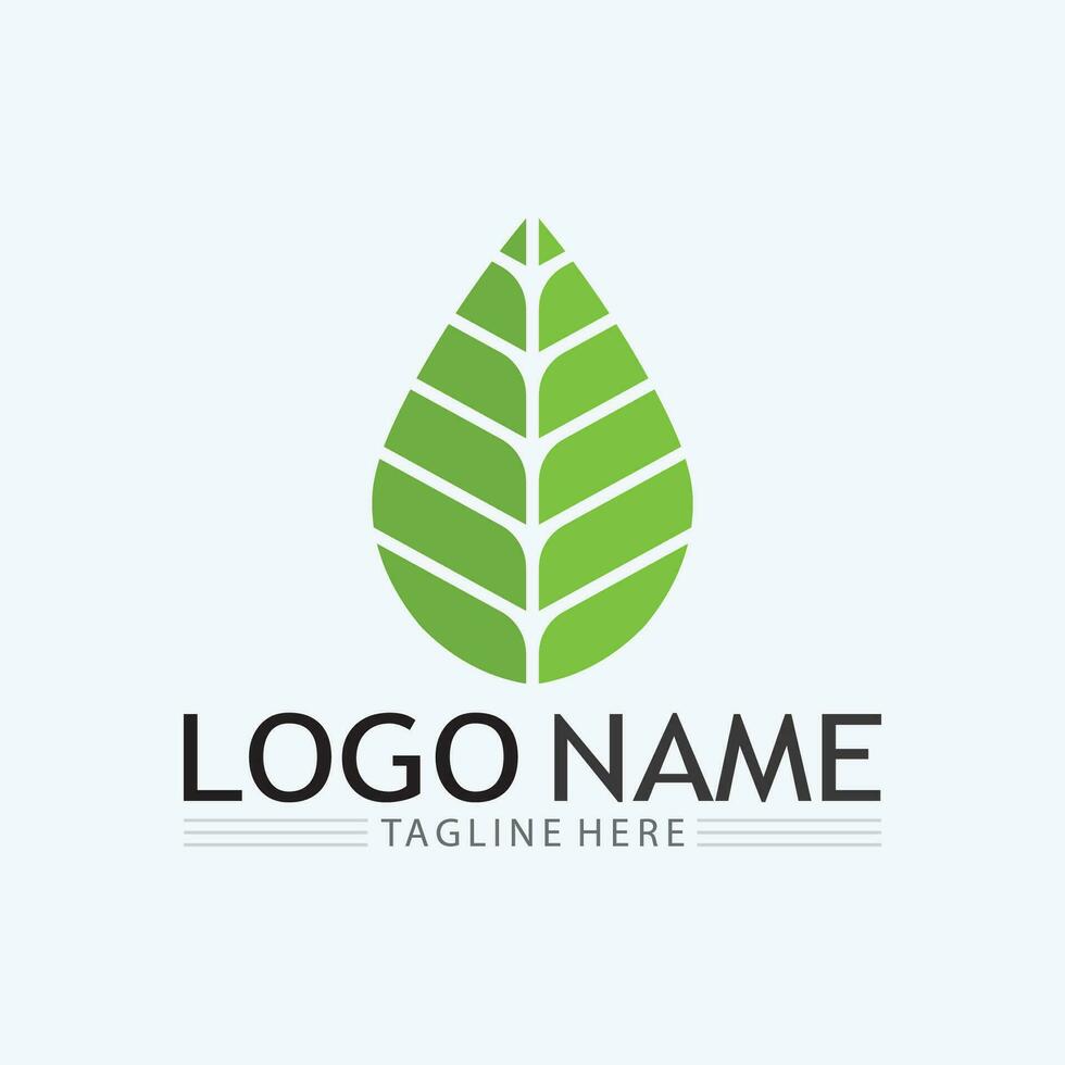 logo's van groene boom blad ecologie vector