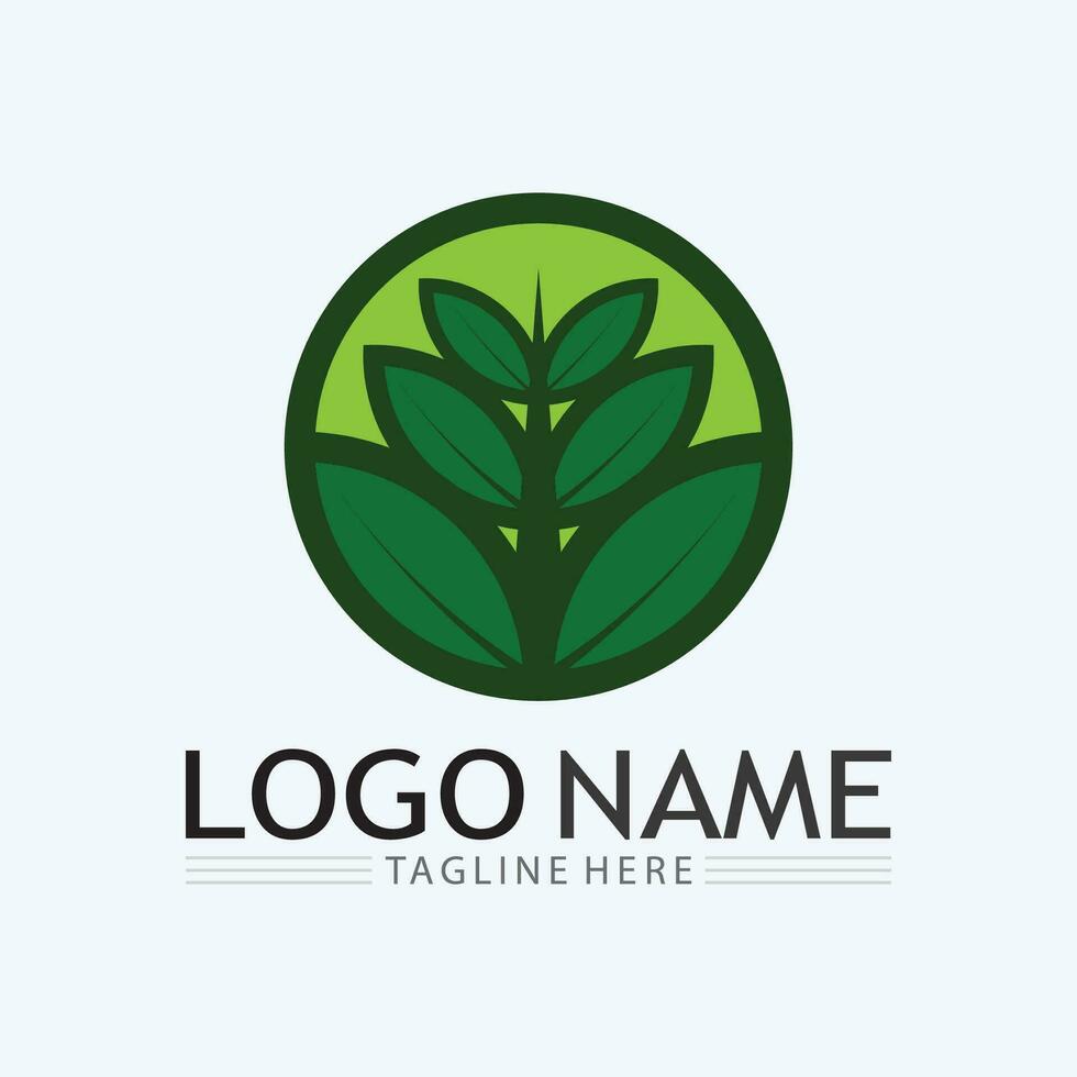 logo's van groene boom blad ecologie vector