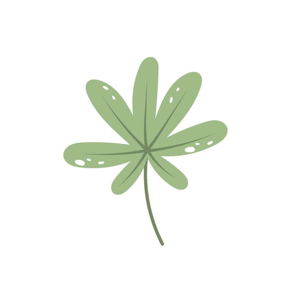 mooi vlak aralia blad. oerwoud gebladerte illustratie. fabriek bloemen ontwerp vector