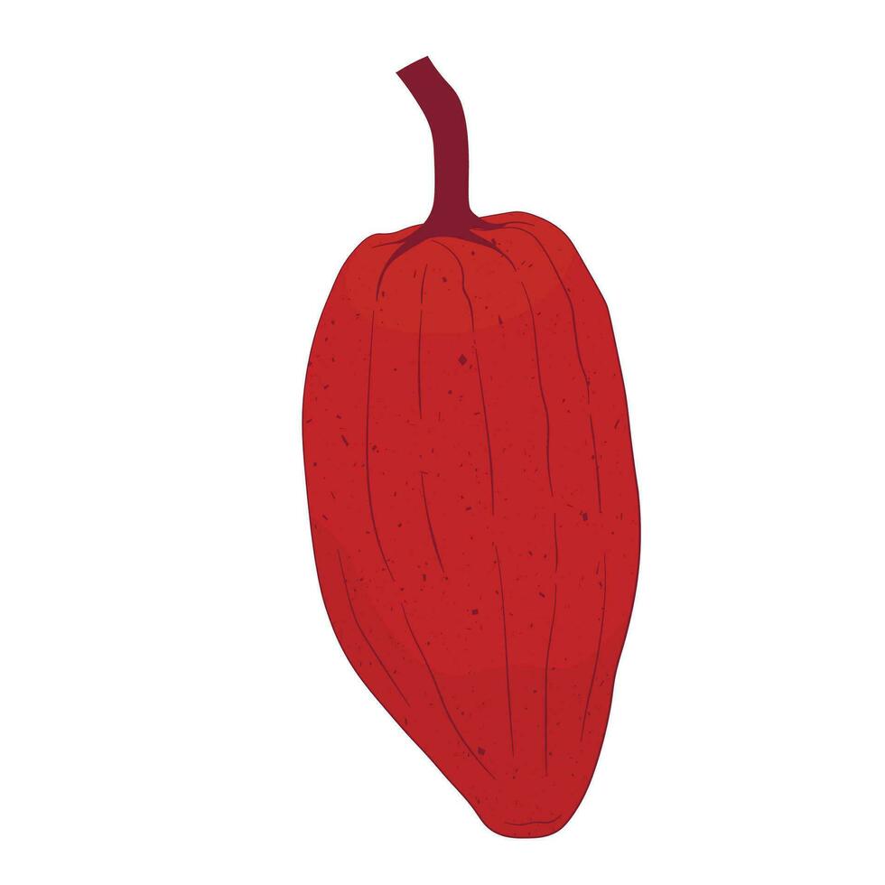 cacao fruit vector voorraad illustratie. geïsoleerd Aan een wit achtergrond. tropisch plant, Koken, chocola.