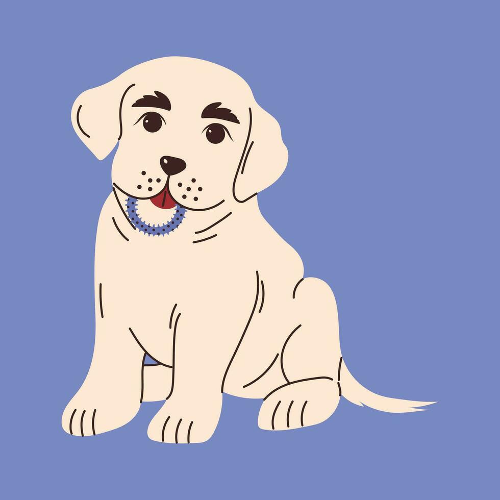 hond met speelgoed voor poetsen of masseren tanden. hond tandheelkundig Gezondheid. hoektand tandheelkundig zorg en hygiëne concept. vector illustratie