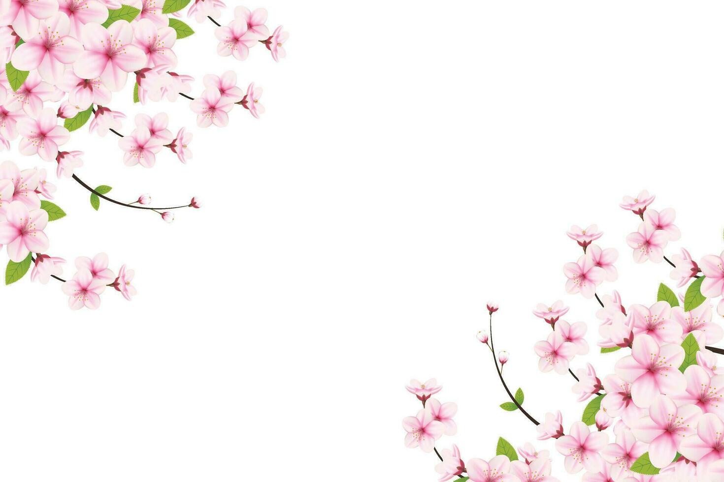 kers bloemen achtergrond en bloemblaadjes illustratie, kers bloesem kader vector. roze sakura bloem achtergrond. kers bloesem bloem bloeiend vector
