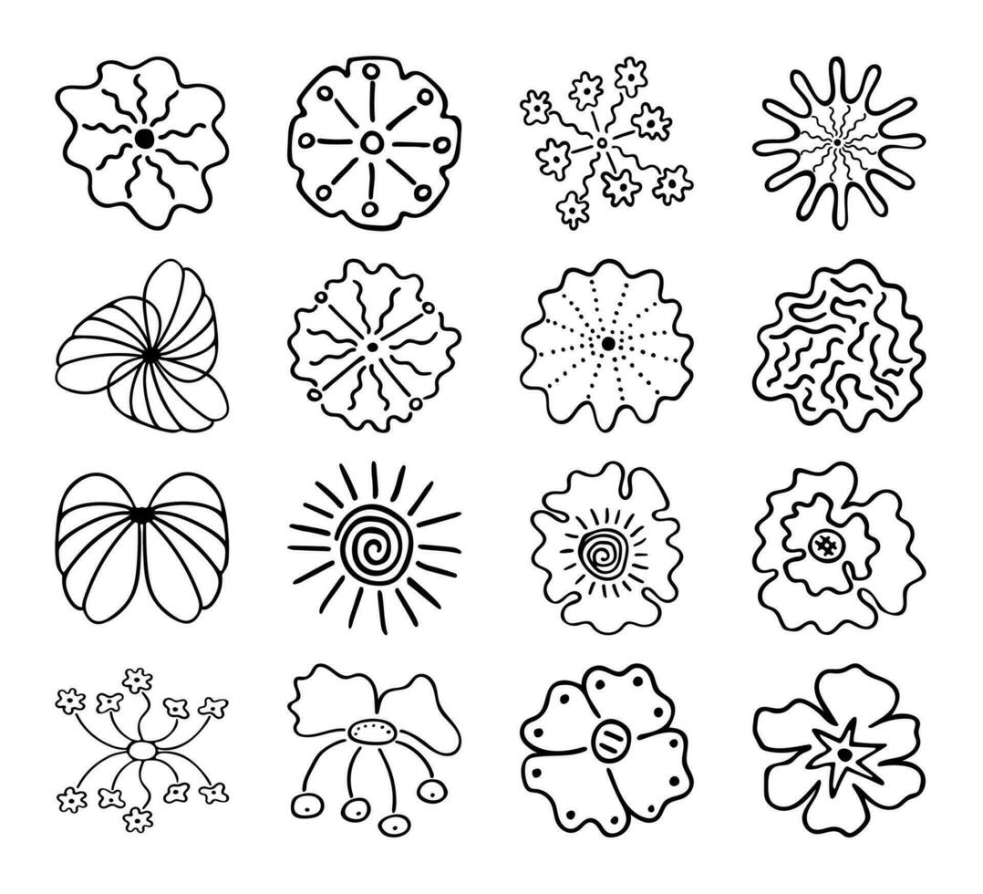 vaag lineair beeld van silhouetten van bloemen. hand- getrokken tekening van fabriek bloemknoppen gedurende bloeiend vector