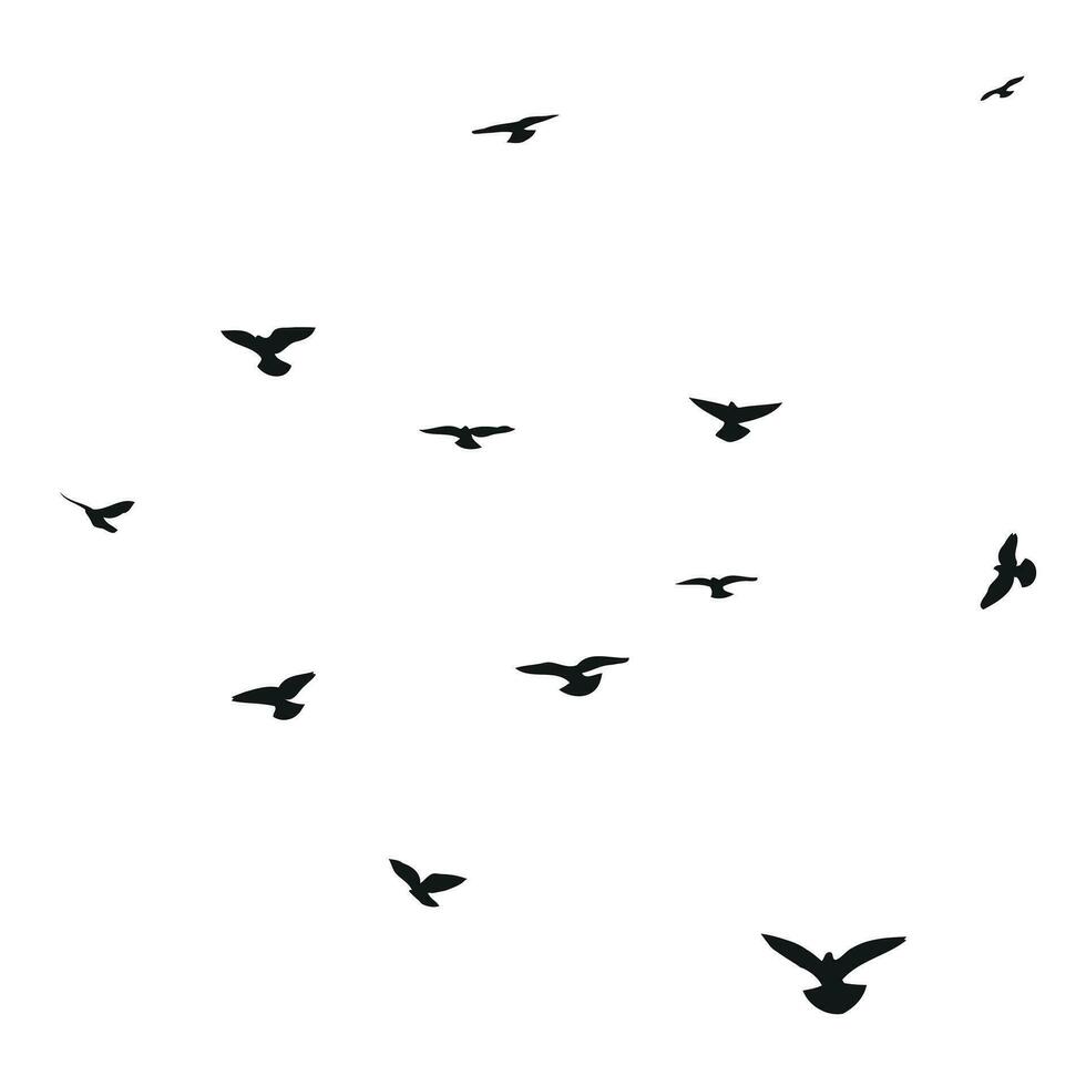 silhouet schetsen van een kudde van vliegend vogels, vlucht in verschillend posities. zweven, stijgende, landen, vliegen, fladderen vector