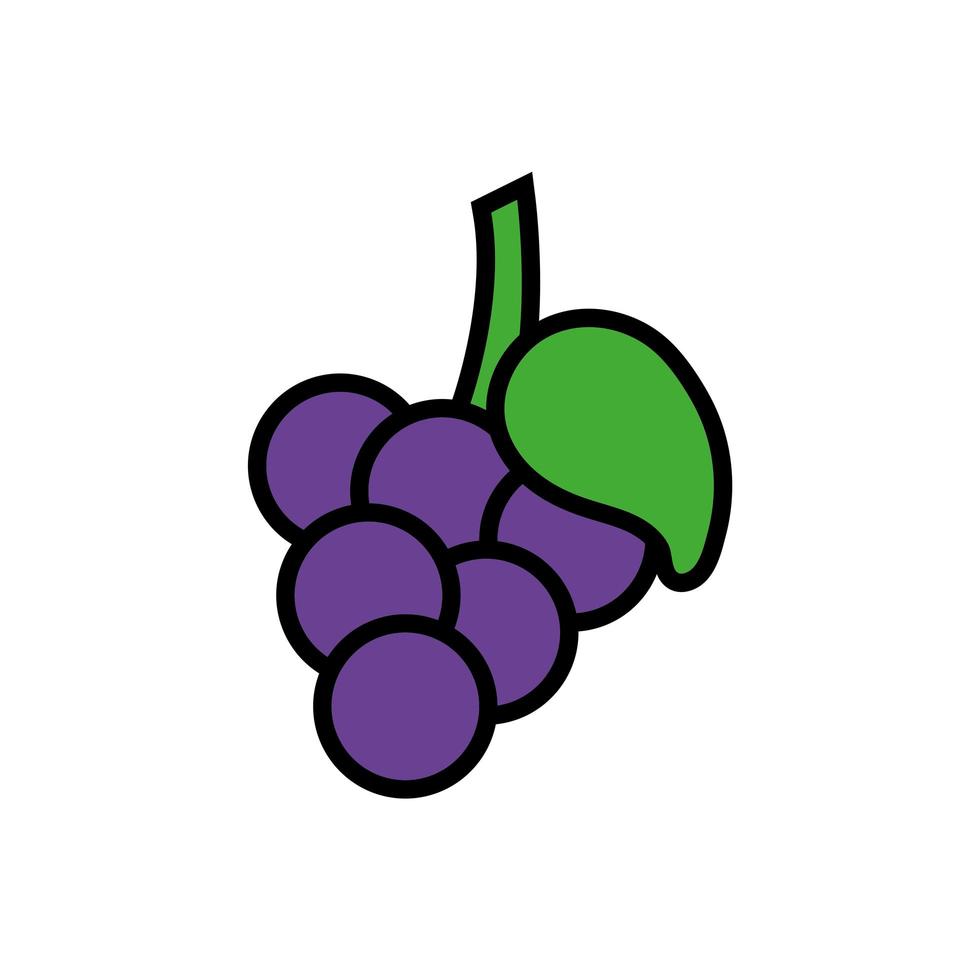 druiven vers fruit geïsoleerde icon vector