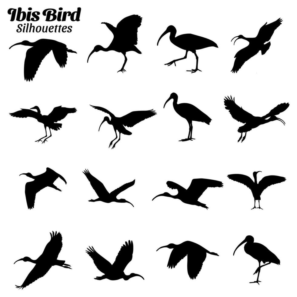 ibis vogel silhouetten vector illustratie set.