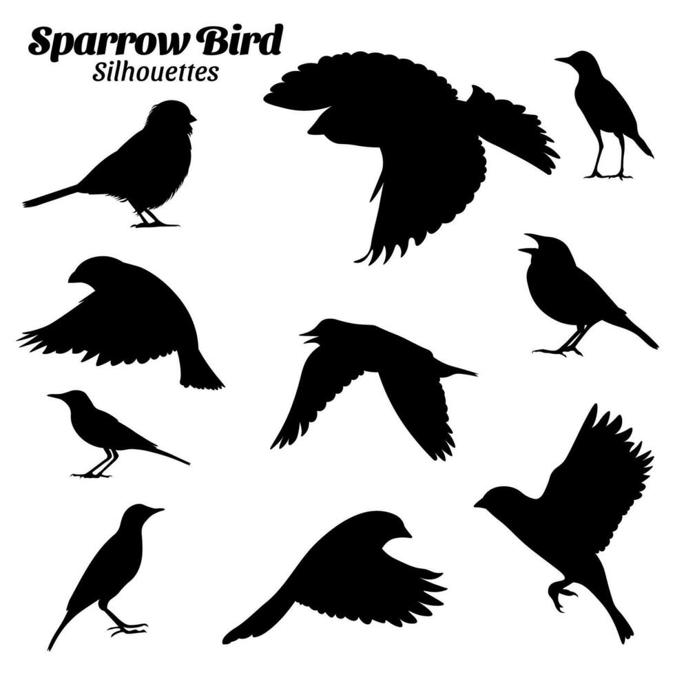 mus vogel silhouet vector illustratie set.