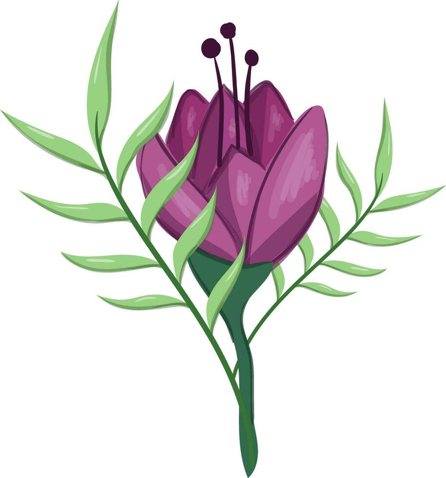 bloemen bloei lang blad onkruid vector