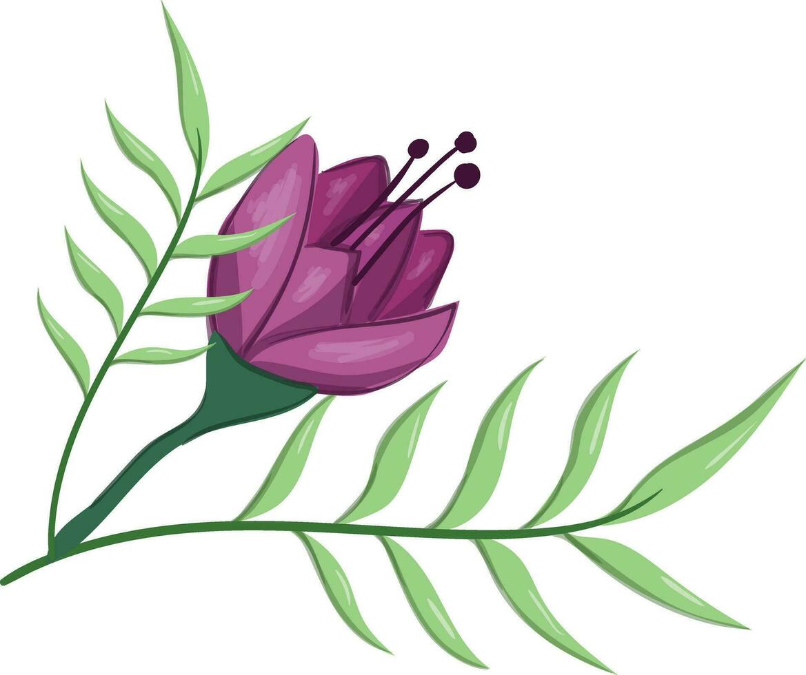 bloemen bloei lang blad onkruid vector