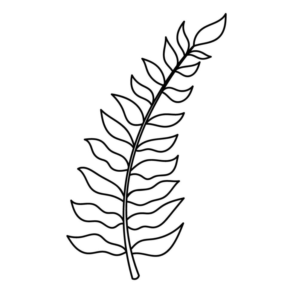 tropisch palm bladeren. tekening gemakkelijk clip art. allemaal voorwerpen zijn opnieuw geschilderd. vector