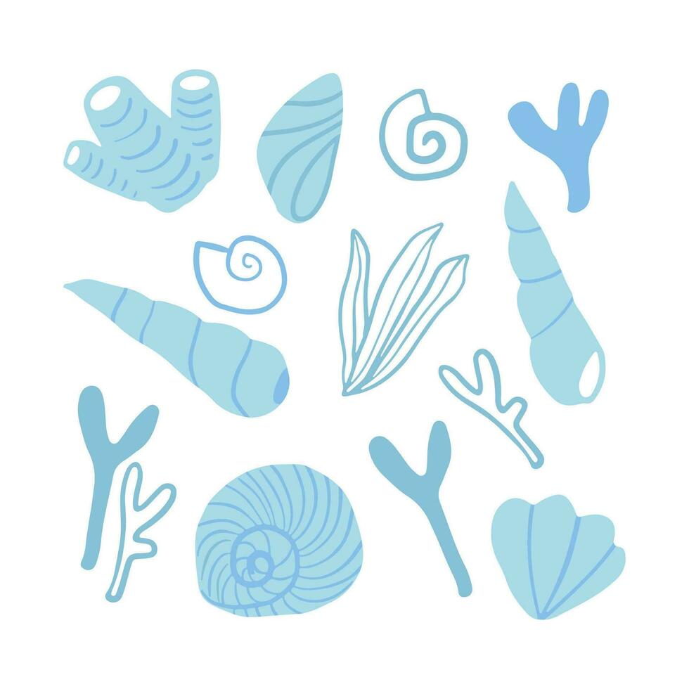 schelpen, koraal en zeewier elementen. hand- getrokken zee bodem grafisch elementen. strand, zomer, vakantie. vector
