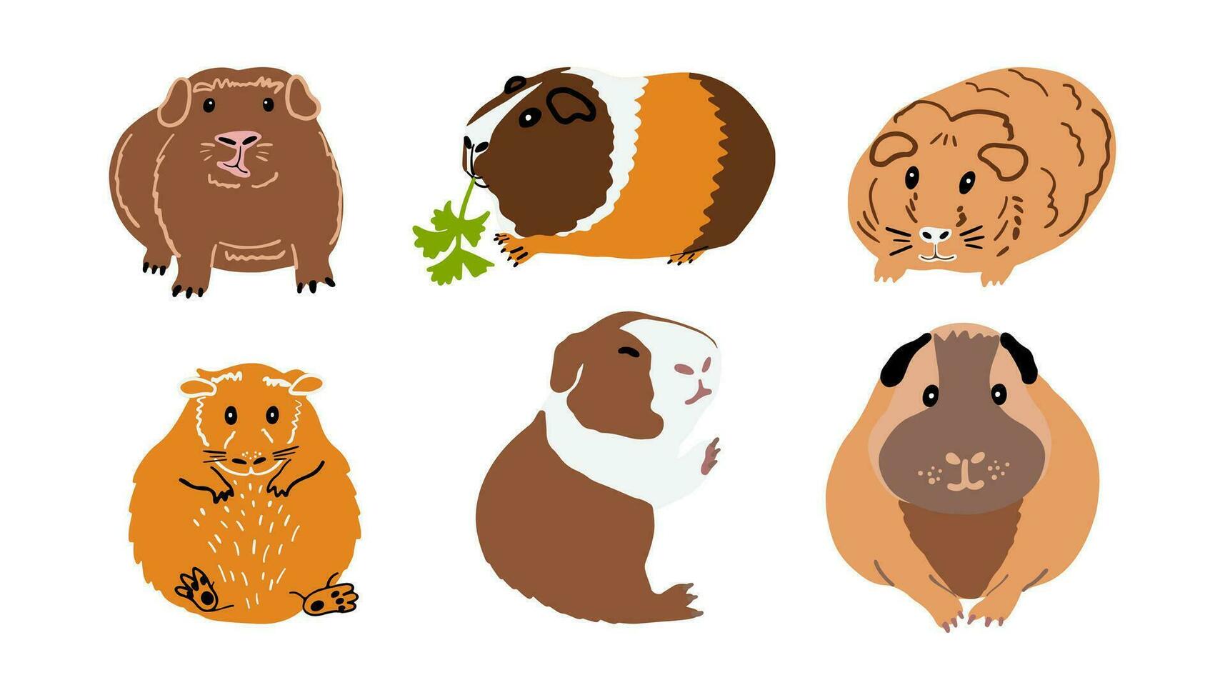 verschillend rassen van schattig Guinea varkens hand- getrokken vector illustratie. klein huisdier tekening. huiselijk knaagdier icoon set.