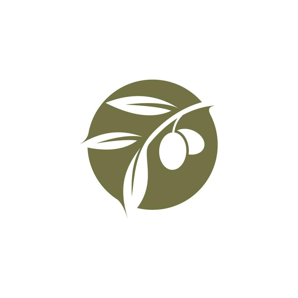 olijf- logo ontwerp vector met modern creatief concept