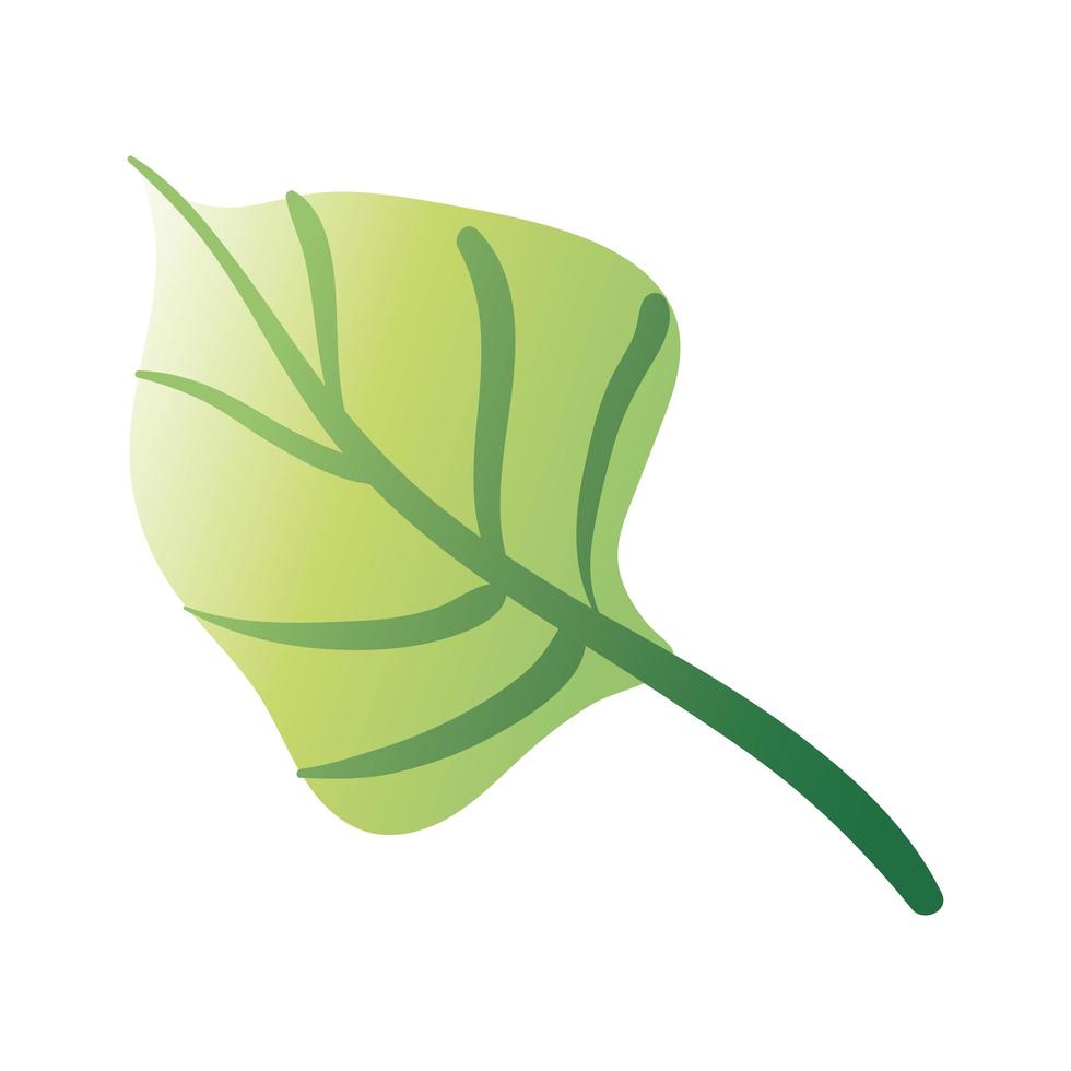 blad plant hand tekenen stijlicoon vector