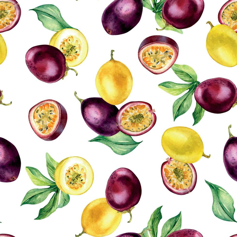 divers passie fruit Aan blad waterverf naadloos patroon geïsoleerd Aan wit. Purper tropisch geheel, gesneden maracuja hand- getrokken. ontwerp voor inpakken, pakket, textiel, achtergrond, papier, serviesgoed vector