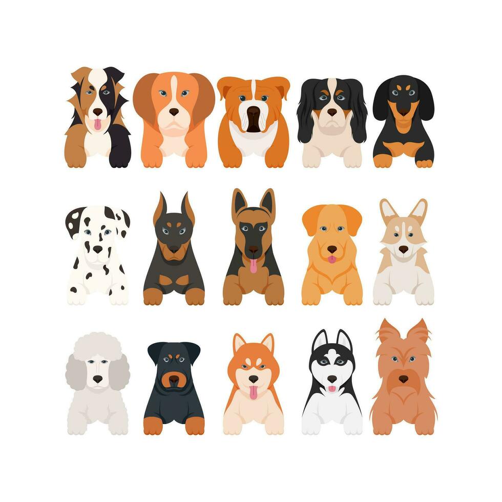 tekenfilm puppy honden rassen huisdieren schattig karakters. vlak ontwerp van schattig honden en puppy's vector illustratie.