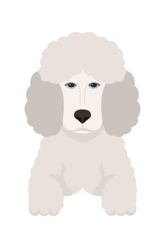 tekenfilm puppy honden rassen huisdieren schattig karakters. vlak ontwerp van schattig honden en puppy's vector illustratie.