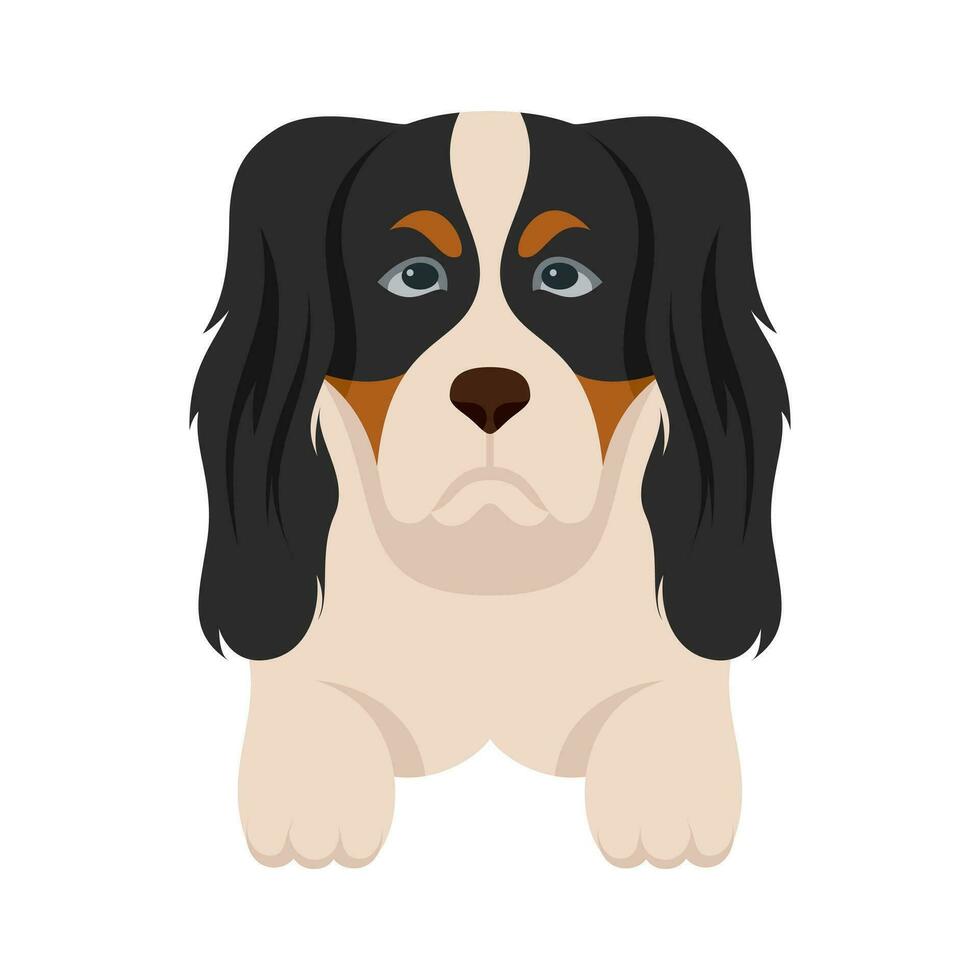 tekenfilm puppy honden rassen huisdieren schattig karakters. vlak ontwerp van schattig honden en puppy's vector illustratie.