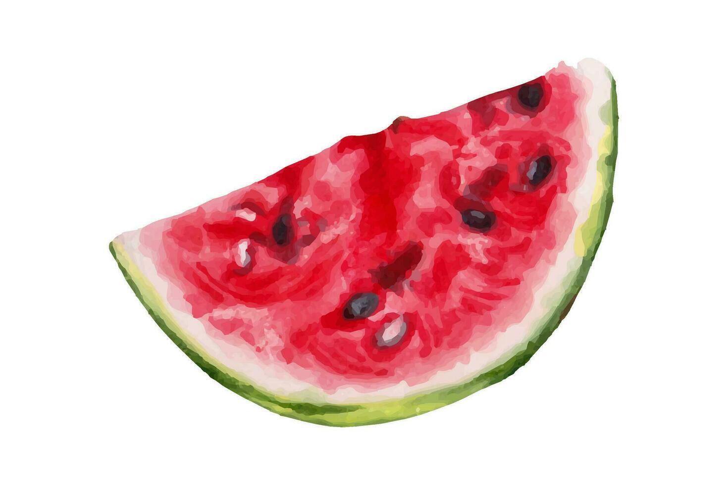 watermeloen plak.voorkant bekijk.rood pulp met kuilen en moeilijk schil.gezond eten.nationaal watermeloen dag.hand getrokken illustratie. vector